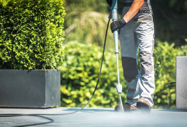 Best Roof Washing  in La Homa, TX