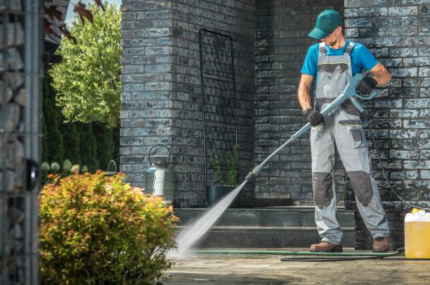 Best Driveway Pressure Washing  in La Homa, TX