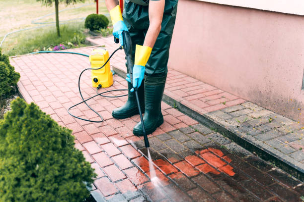 Best Gutter Cleaning  in La Homa, TX