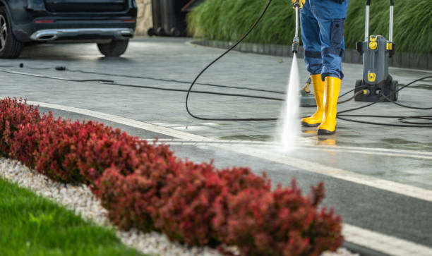 Best Patio and Deck Pressure Washing  in La Homa, TX